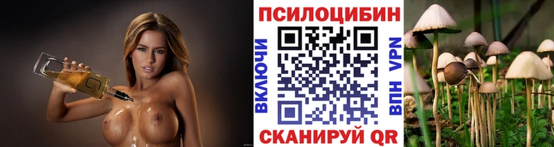 даркнет как зайти  гидра ССЫЛКА  Псилоцибиновые грибы ЛСД  Сегежа  где купить наркоту 
